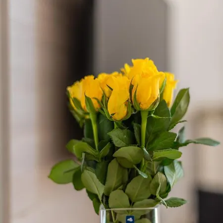 아파트 B&a - Center Of