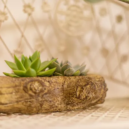 아파트 B&a - Center Of 스플리트